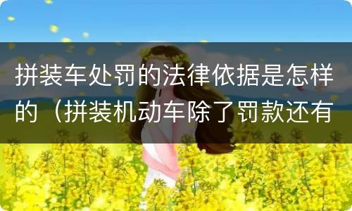 拼装车处罚的法律依据是怎样的（拼装机动车除了罚款还有什么处罚）