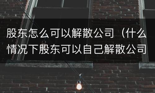 股东怎么可以解散公司（什么情况下股东可以自己解散公司）