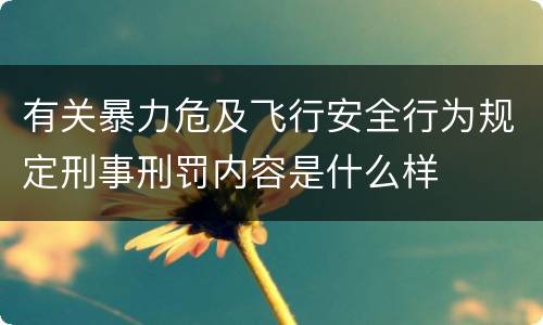 有关暴力危及飞行安全行为规定刑事刑罚内容是什么样