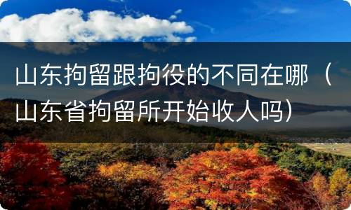 山东拘留跟拘役的不同在哪（山东省拘留所开始收人吗）