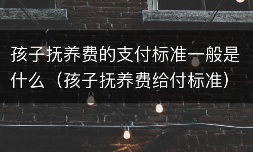 孩子抚养费的支付标准一般是什么（孩子抚养费给付标准）