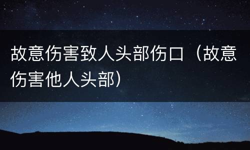 故意伤害致人头部伤口（故意伤害他人头部）