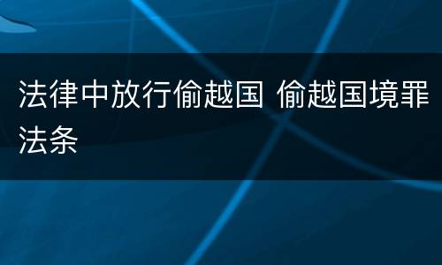 法律中放行偷越国 偷越国境罪法条