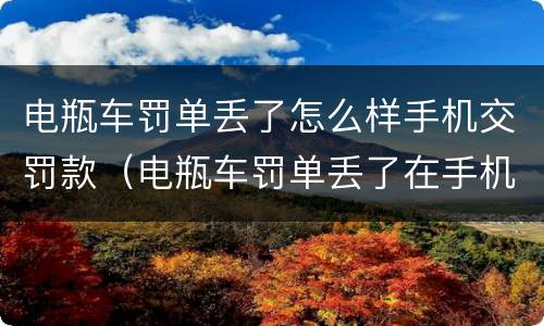 电瓶车罚单丢了怎么样手机交罚款（电瓶车罚单丢了在手机上怎么交罚款）