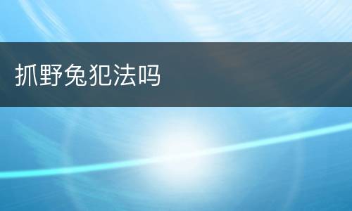 抓野兔犯法吗