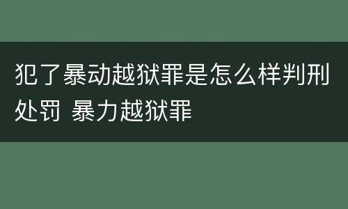 犯了暴动越狱罪是怎么样判刑处罚 暴力越狱罪