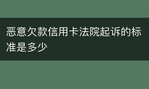 恶意欠款信用卡法院起诉的标准是多少