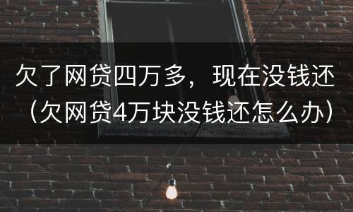 欠了网贷四万多，现在没钱还（欠网贷4万块没钱还怎么办）