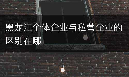 黑龙江个体企业与私营企业的区别在哪