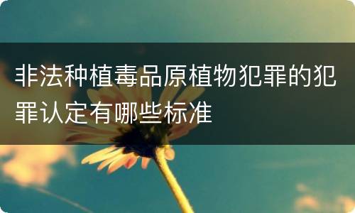 非法种植毒品原植物犯罪的犯罪认定有哪些标准