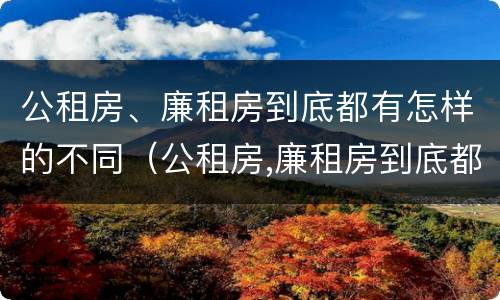 公租房、廉租房到底都有怎样的不同（公租房,廉租房到底都有怎样的不同地方）