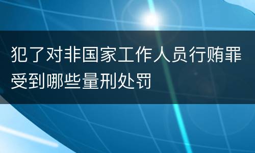 犯了对非国家工作人员行贿罪受到哪些量刑处罚
