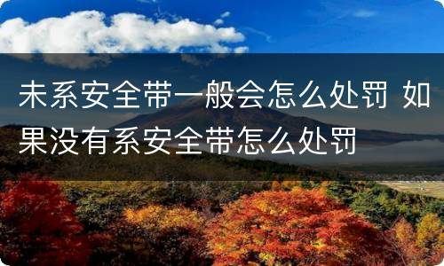 未系安全带一般会怎么处罚 如果没有系安全带怎么处罚