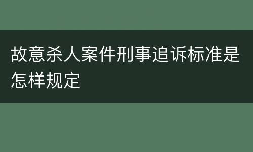 故意杀人案件刑事追诉标准是怎样规定