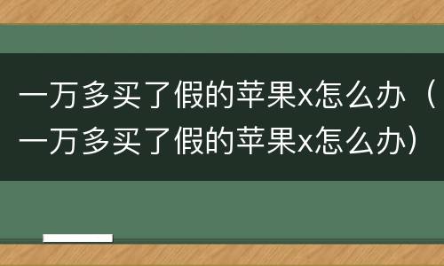 一万多买了假的苹果x怎么办（一万多买了假的苹果x怎么办）
