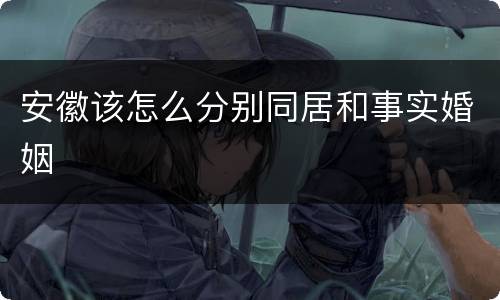 安徽该怎么分别同居和事实婚姻