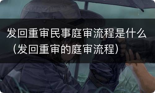 发回重审民事庭审流程是什么（发回重审的庭审流程）