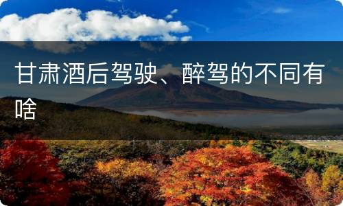 甘肃酒后驾驶、醉驾的不同有啥