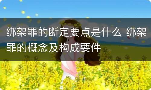 绑架罪的断定要点是什么 绑架罪的概念及构成要件