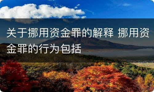 关于挪用资金罪的解释 挪用资金罪的行为包括