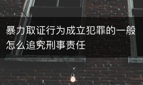 暴力取证行为成立犯罪的一般怎么追究刑事责任