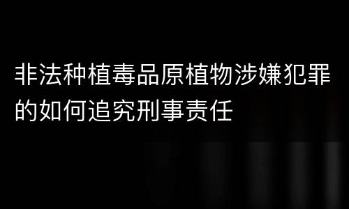 非法种植毒品原植物涉嫌犯罪的如何追究刑事责任