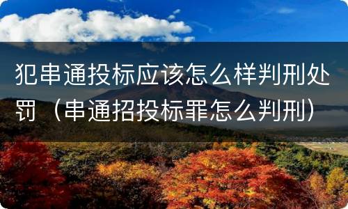 犯串通投标应该怎么样判刑处罚（串通招投标罪怎么判刑）