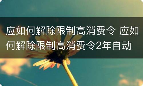 应如何解除限制高消费令 应如何解除限制高消费令2年自动
