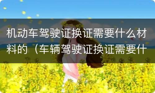 机动车驾驶证换证需要什么材料的（车辆驾驶证换证需要什么资料）