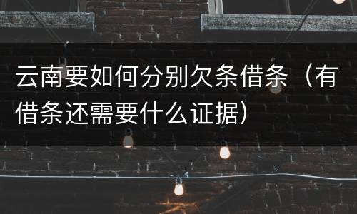 云南要如何分别欠条借条（有借条还需要什么证据）