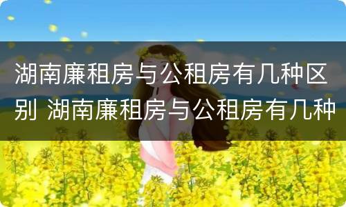 湖南廉租房与公租房有几种区别 湖南廉租房与公租房有几种区别在哪里