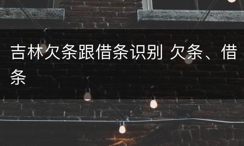 吉林欠条跟借条识别 欠条、借条