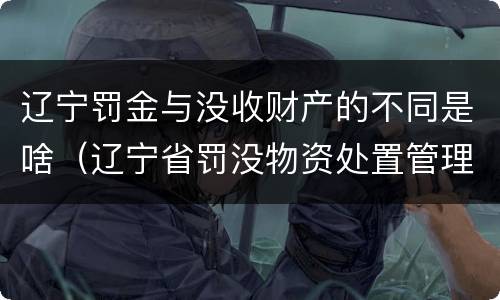 辽宁罚金与没收财产的不同是啥（辽宁省罚没物资处置管理办法）