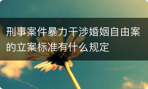 刑事案件暴力干涉婚姻自由案的立案标准有什么规定
