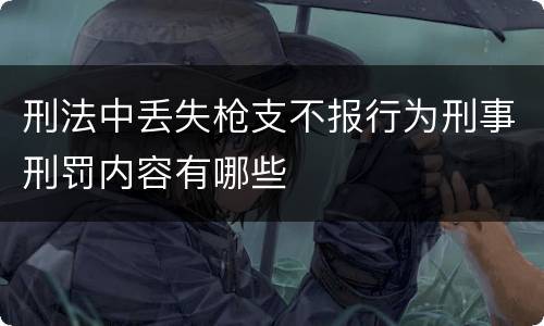 刑法中丢失枪支不报行为刑事刑罚内容有哪些