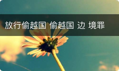 放行偷越国 偷越国 边 境罪