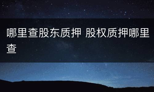 哪里查股东质押 股权质押哪里查