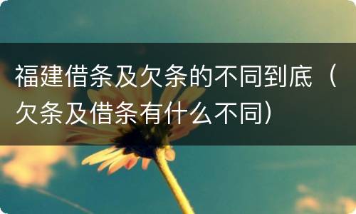 福建借条及欠条的不同到底（欠条及借条有什么不同）