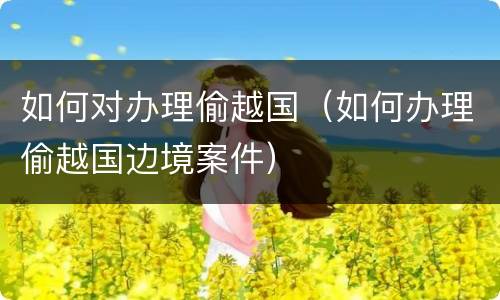 如何对办理偷越国（如何办理偷越国边境案件）