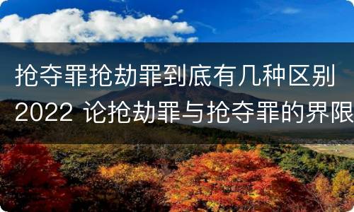 抢夺罪抢劫罪到底有几种区别2022 论抢劫罪与抢夺罪的界限