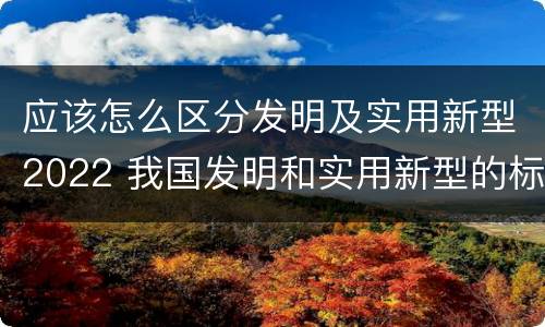 应该怎么区分发明及实用新型2022 我国发明和实用新型的标准