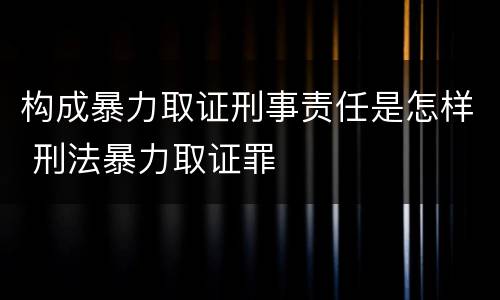 构成暴力取证刑事责任是怎样 刑法暴力取证罪