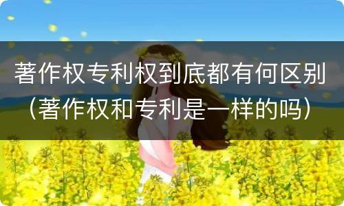 著作权专利权到底都有何区别（著作权和专利是一样的吗）
