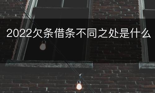 2022欠条借条不同之处是什么