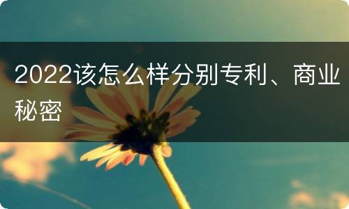 2022该怎么样分别专利、商业秘密