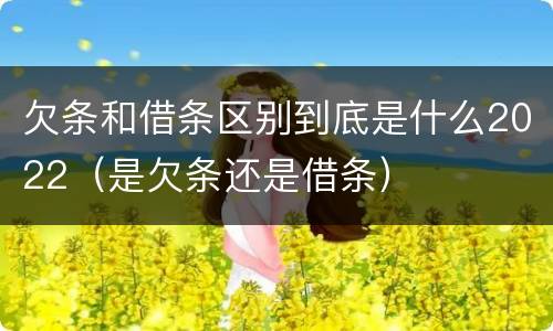 欠条和借条区别到底是什么2022（是欠条还是借条）