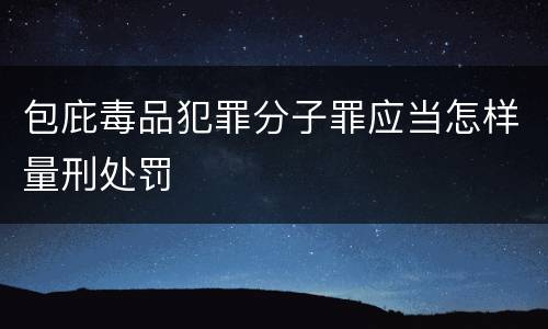 包庇毒品犯罪分子罪应当怎样量刑处罚