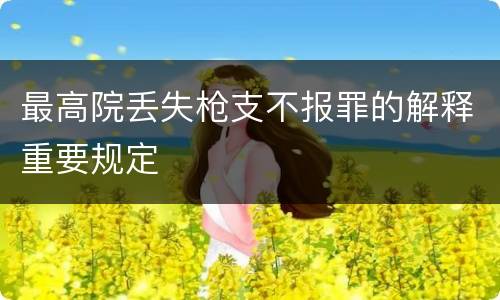 最高院丢失枪支不报罪的解释重要规定