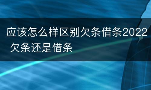 应该怎么样区别欠条借条2022 欠条还是借条