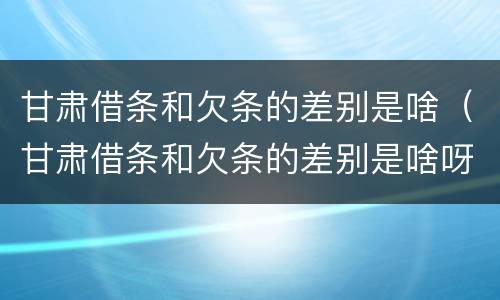 甘肃借条和欠条的差别是啥（甘肃借条和欠条的差别是啥呀）